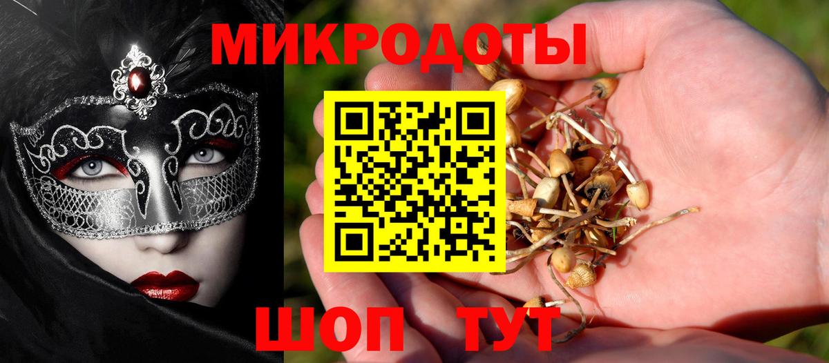 Псилоцибиновые грибы мицелий Великий Устюг